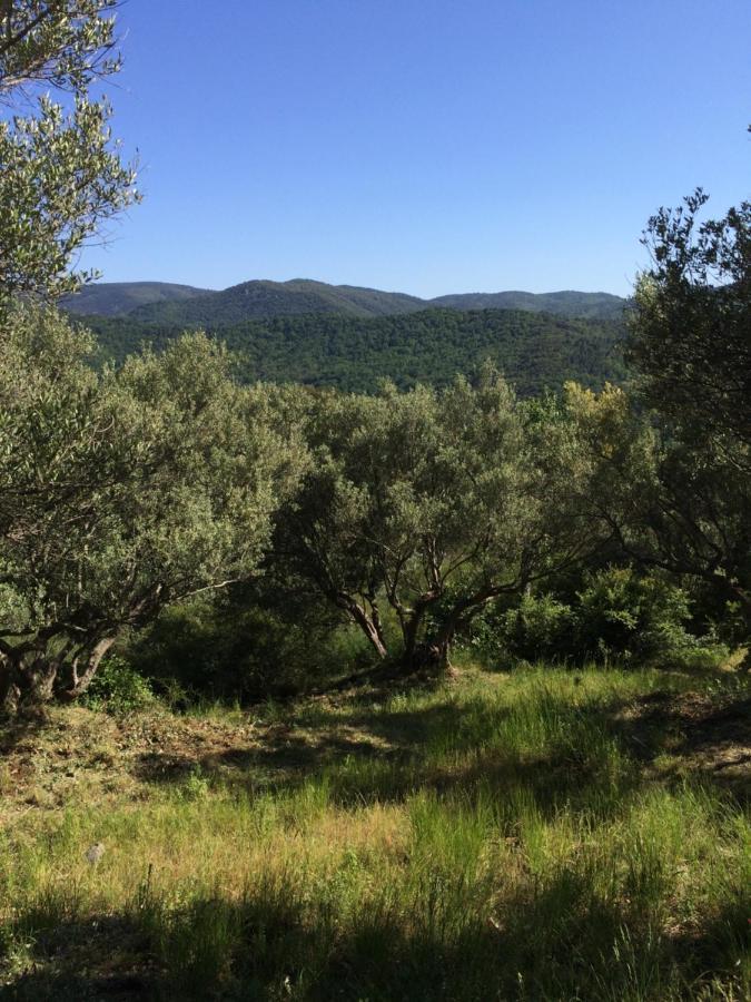 La Provence Authentique A 30 Minutes Des Plages Коллобрьер Экстерьер фото